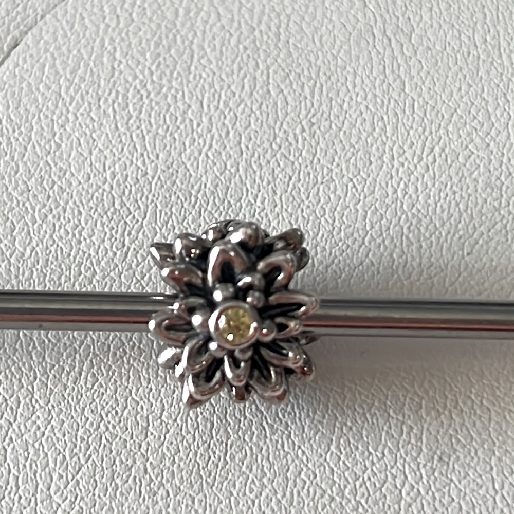 Rare Retired Pandora Edelweiss charm